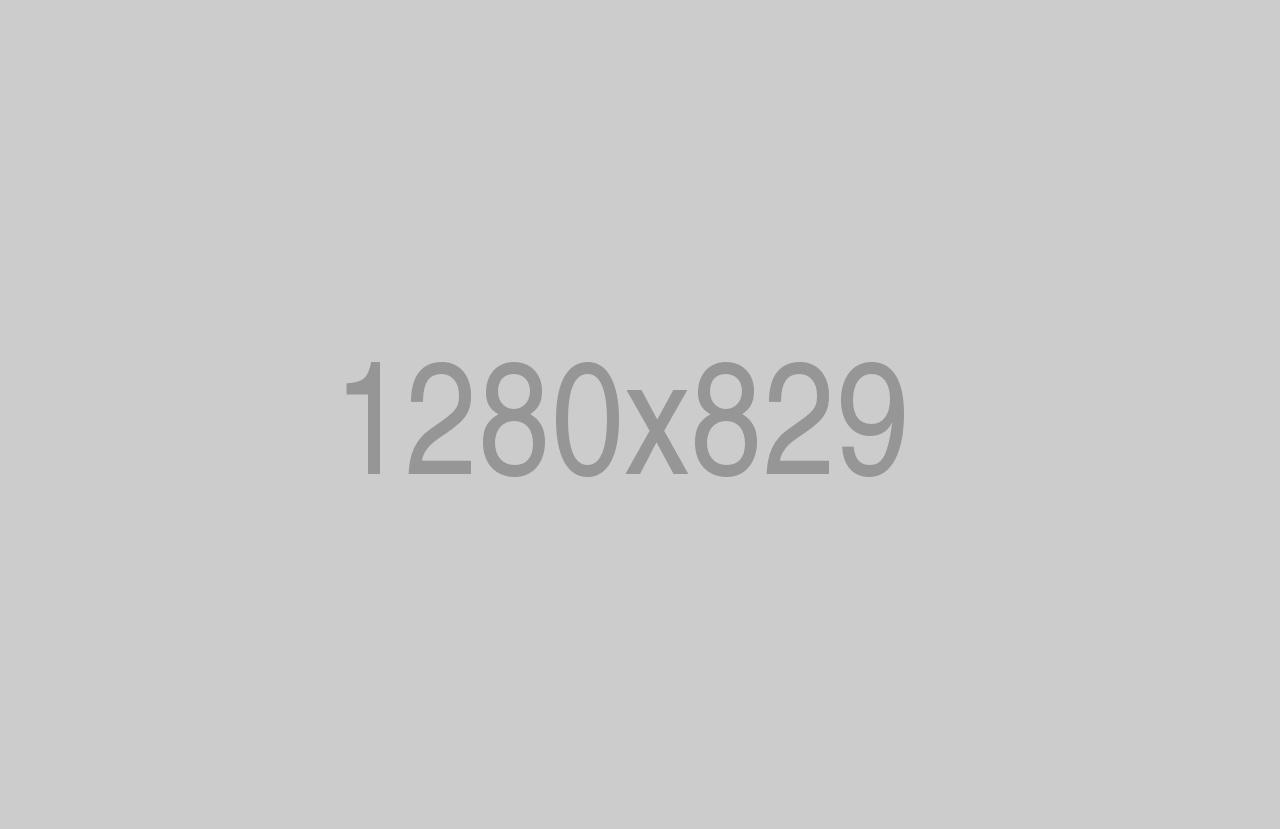 We Execute Our Ideas